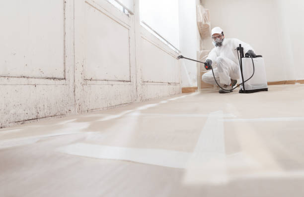 24/7 Emergency Attic Mold Remediation experts in McLean, VA