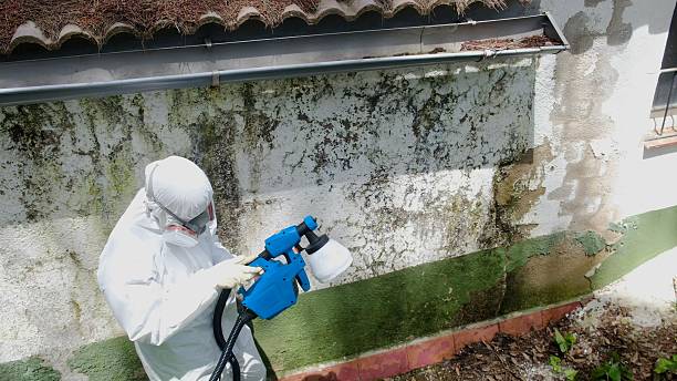 Top rated local Attic Mold Remediation specialists in McLean, VA
